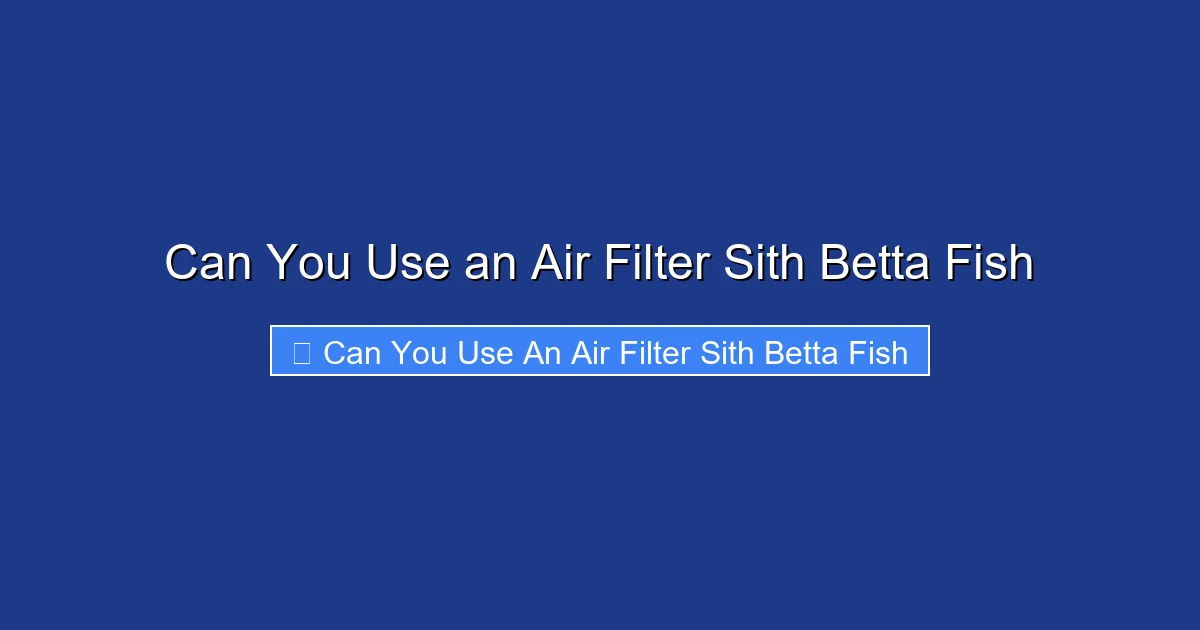 Can You Use an Air Filter Sith Betta Fish