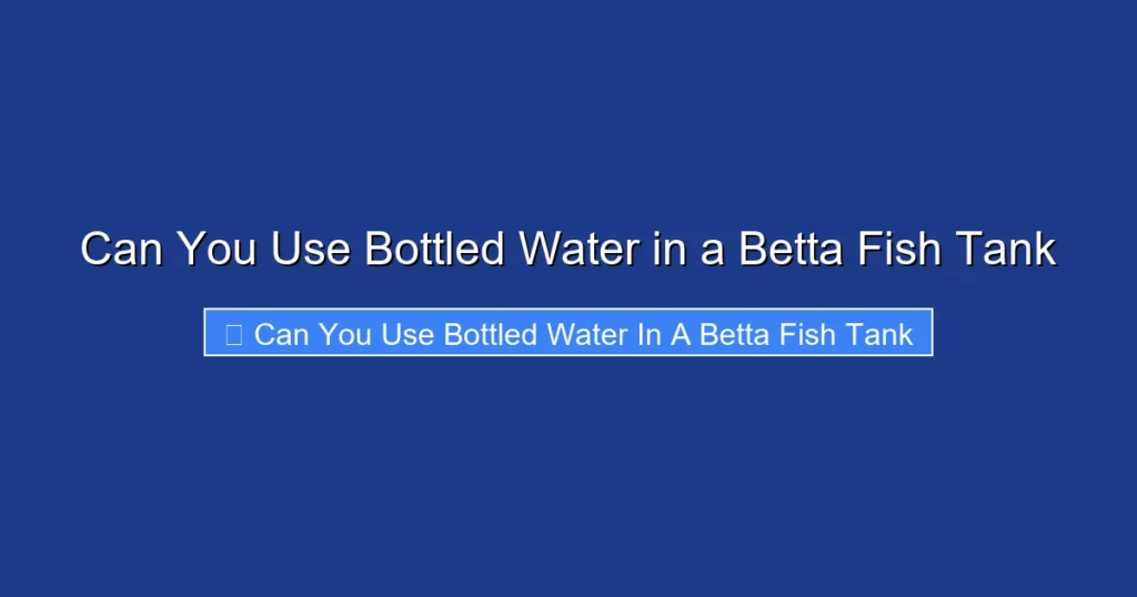 Can You Use Bottled Water in a Betta Fish Tank