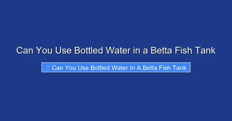 Can You Use Bottled Water in a Betta Fish Tank