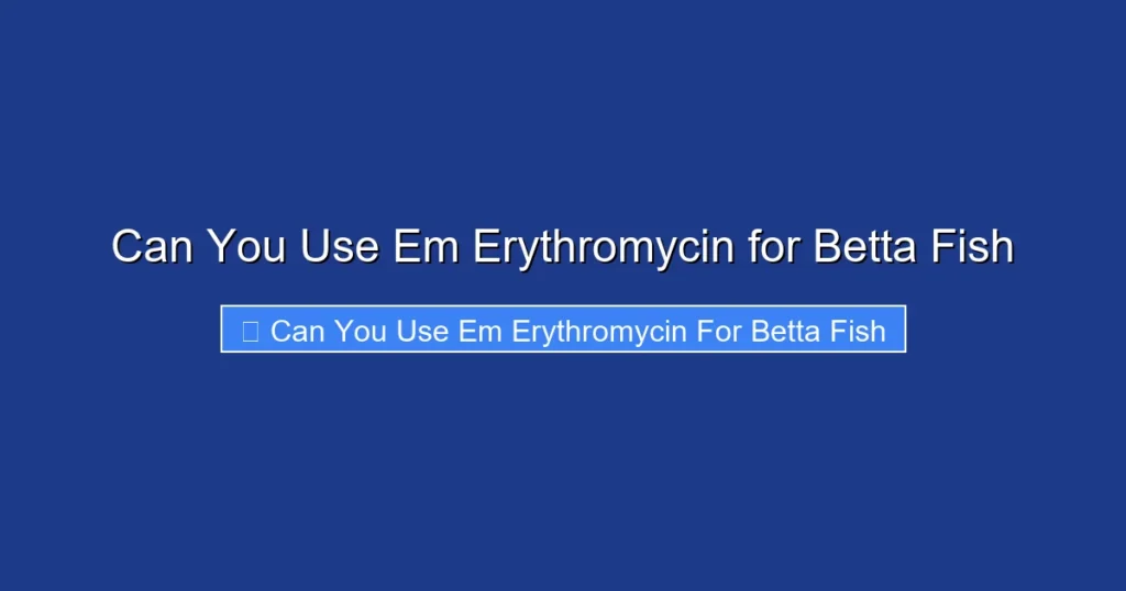 Can You Use Em Erythromycin for Betta Fish