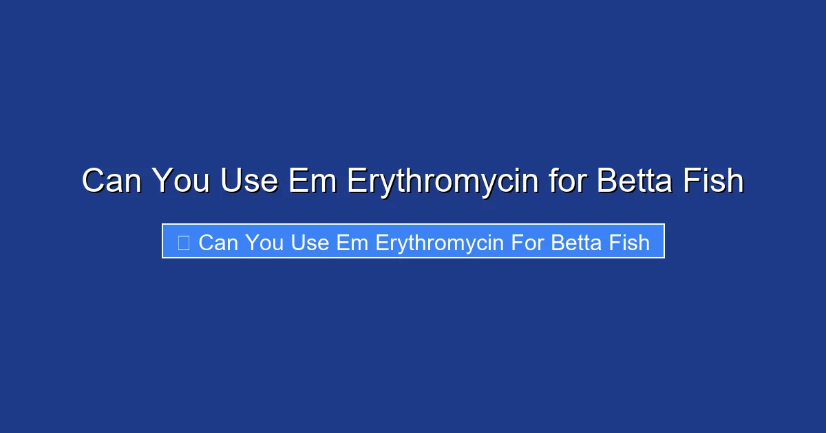 Can You Use Em Erythromycin for Betta Fish