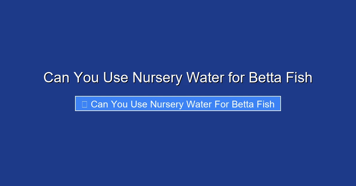 Can You Use Nursery Water for Betta Fish