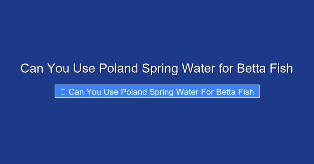 Can You Use Poland Spring Water for Betta Fish