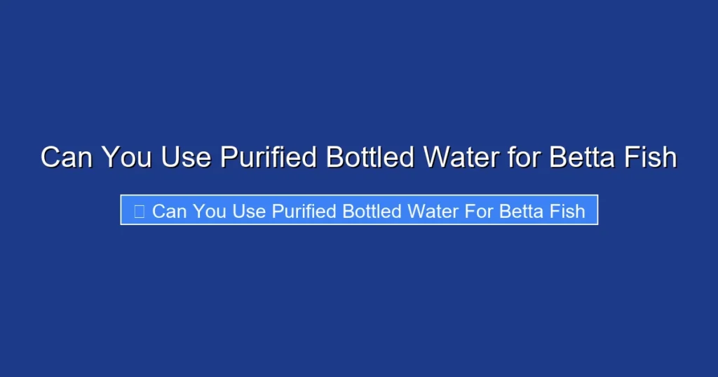 Can You Use Purified Bottled Water for Betta Fish