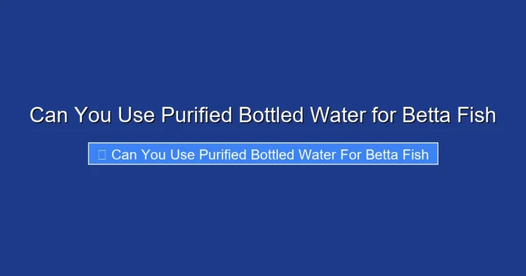 Can You Use Purified Bottled Water for Betta Fish