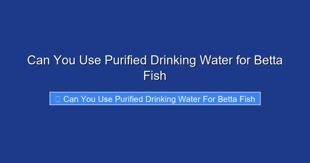 Can You Use Purified Drinking Water for Betta Fish