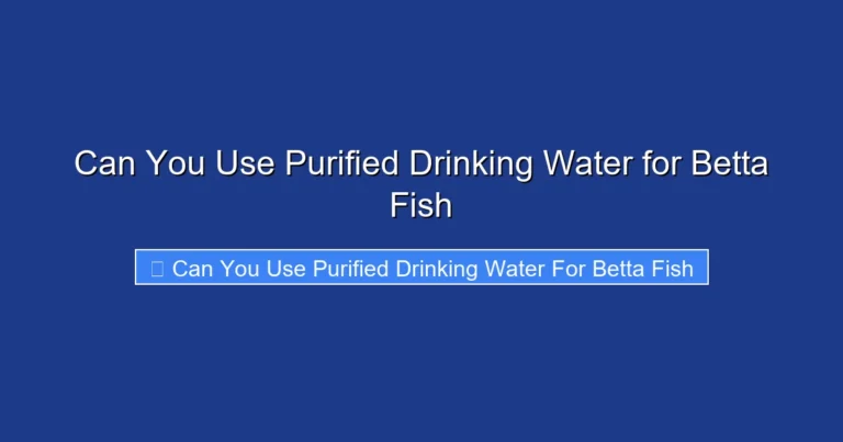 Can You Use Purified Drinking Water for Betta Fish