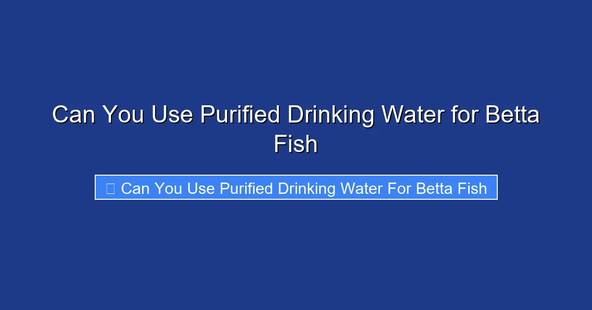 Can You Use Purified Drinking Water for Betta Fish