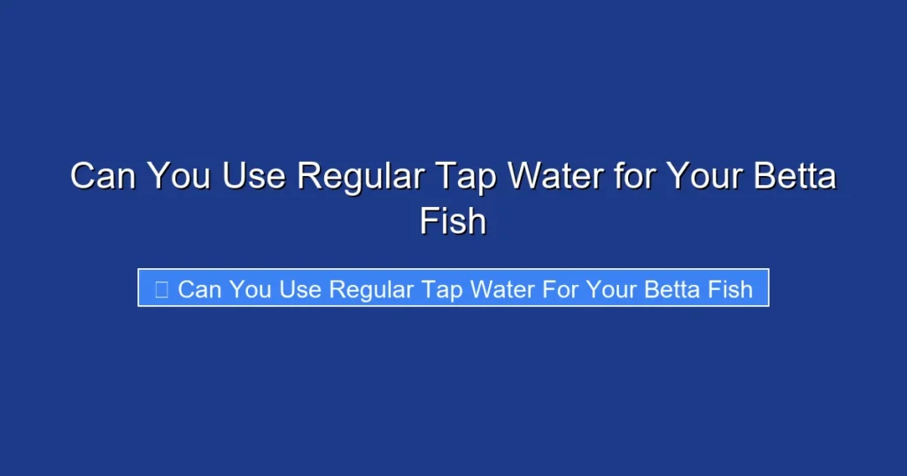 Can You Use Regular Tap Water for Your Betta Fish