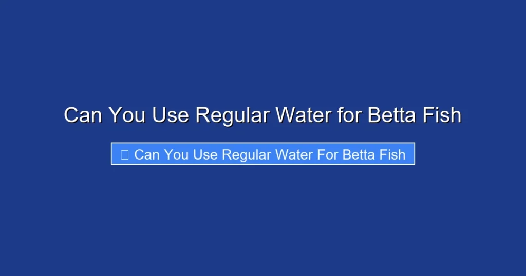 Can You Use Regular Water for Betta Fish