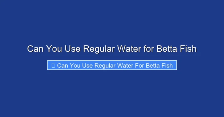Can You Use Regular Water for Betta Fish