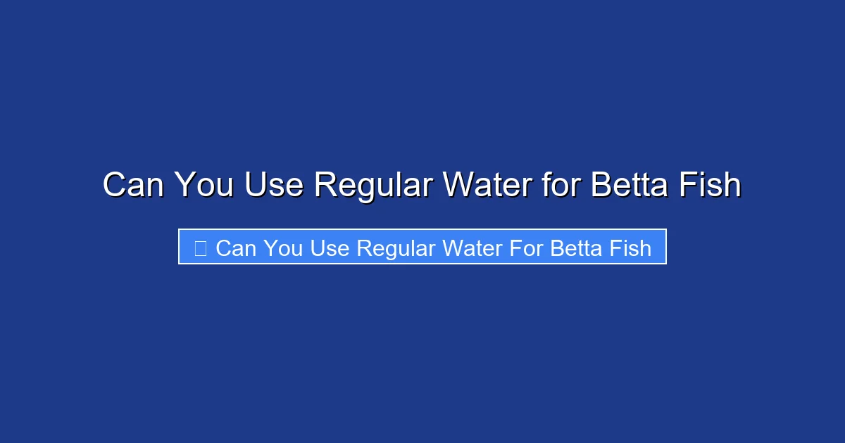 Can You Use Regular Water for Betta Fish