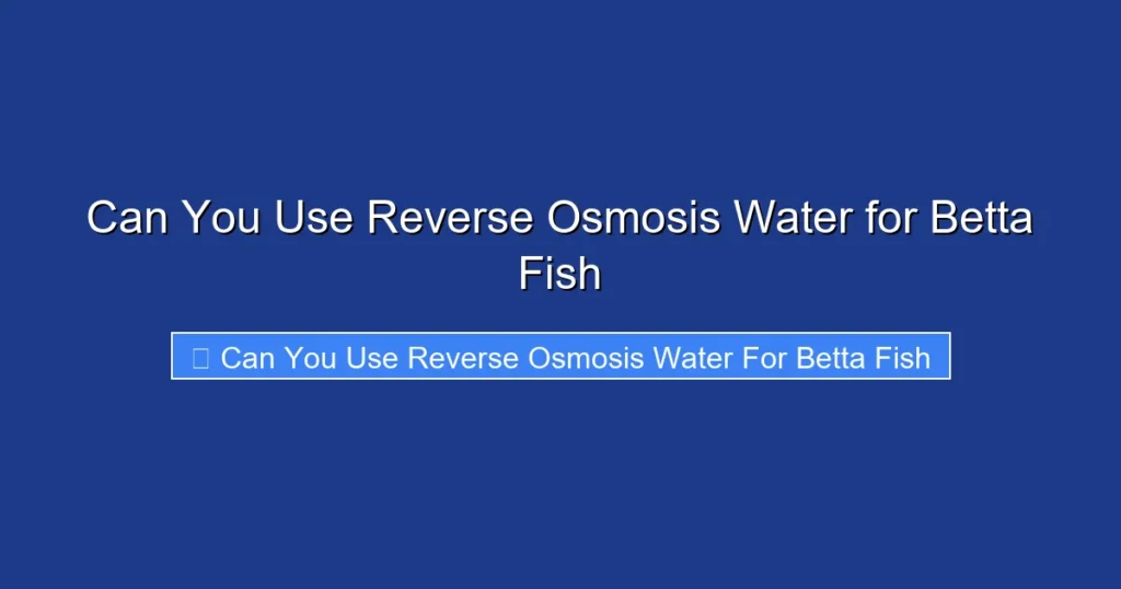 Can You Use Reverse Osmosis Water for Betta Fish