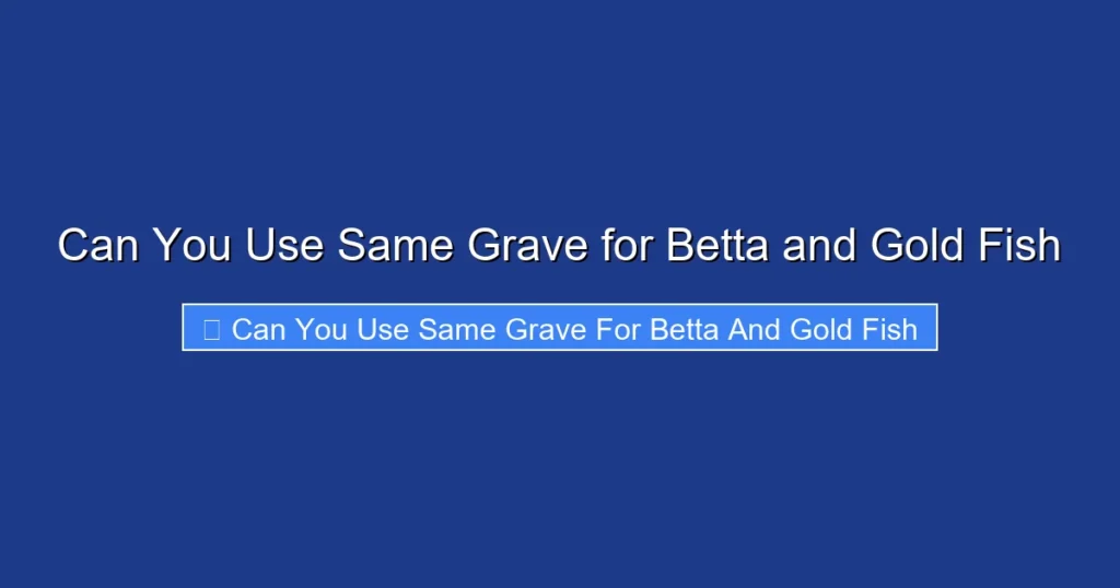 Can You Use Same Grave for Betta and Gold Fish