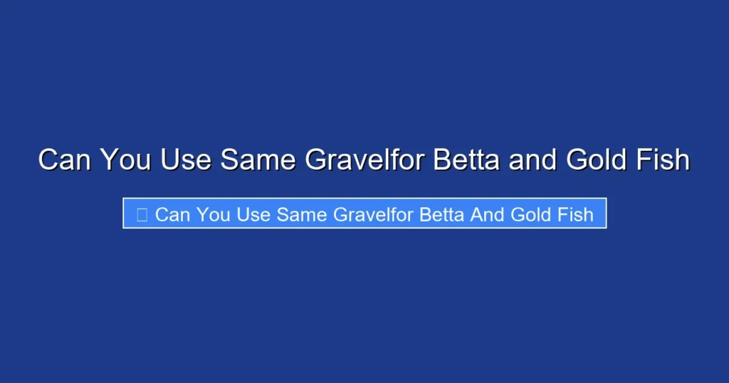 Can You Use Same Gravelfor Betta and Gold Fish