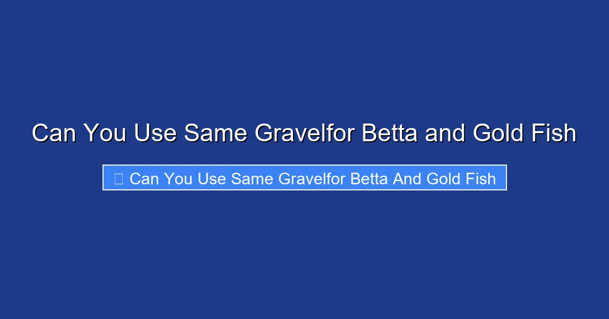 Can You Use Same Gravelfor Betta and Gold Fish