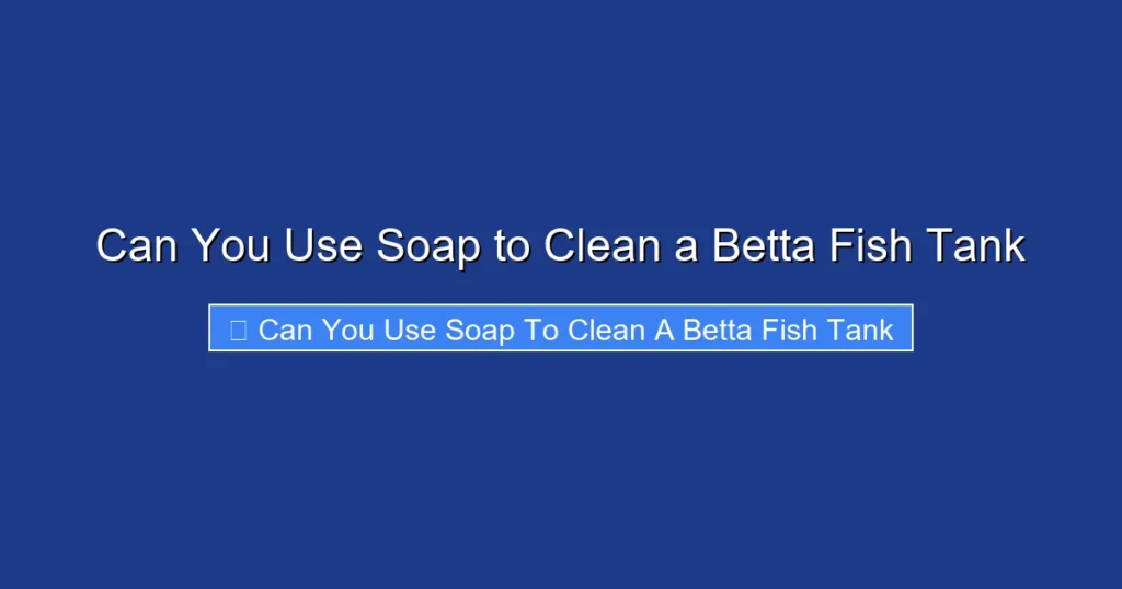 Can You Use Soap to Clean a Betta Fish Tank