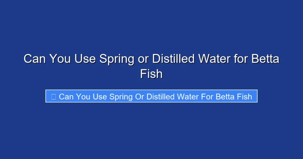 Can You Use Spring or Distilled Water for Betta Fish