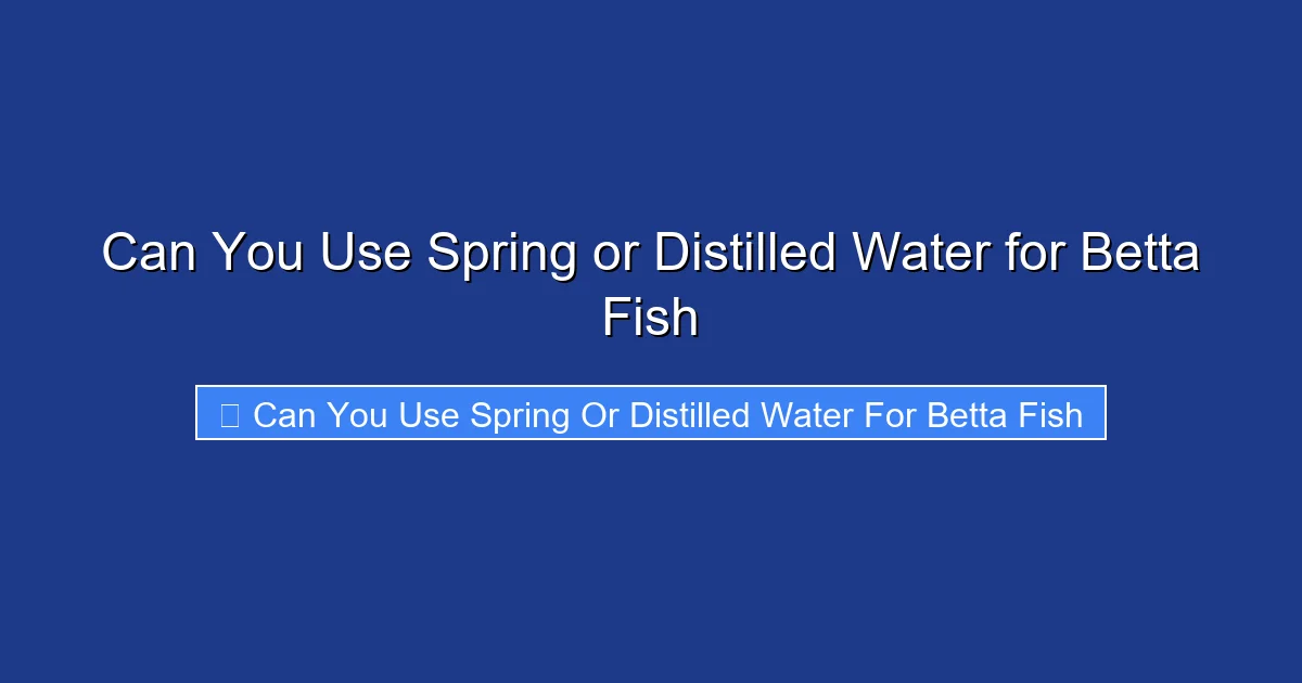 Can You Use Spring or Distilled Water for Betta Fish
