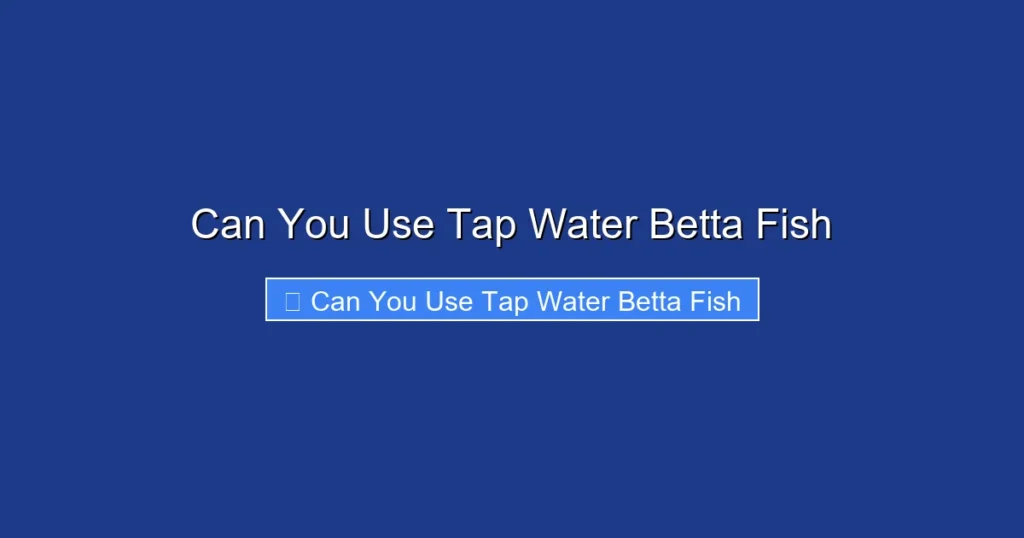 Can You Use Tap Water Betta Fish