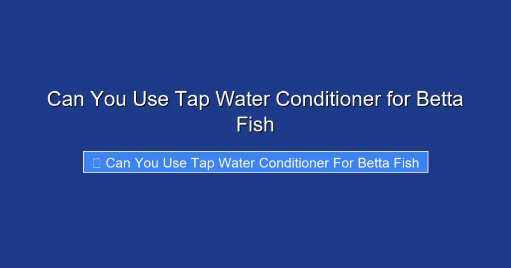 Can You Use Tap Water Conditioner for Betta Fish