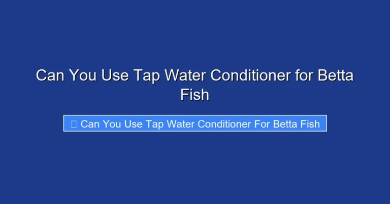 Can You Use Tap Water Conditioner for Betta Fish
