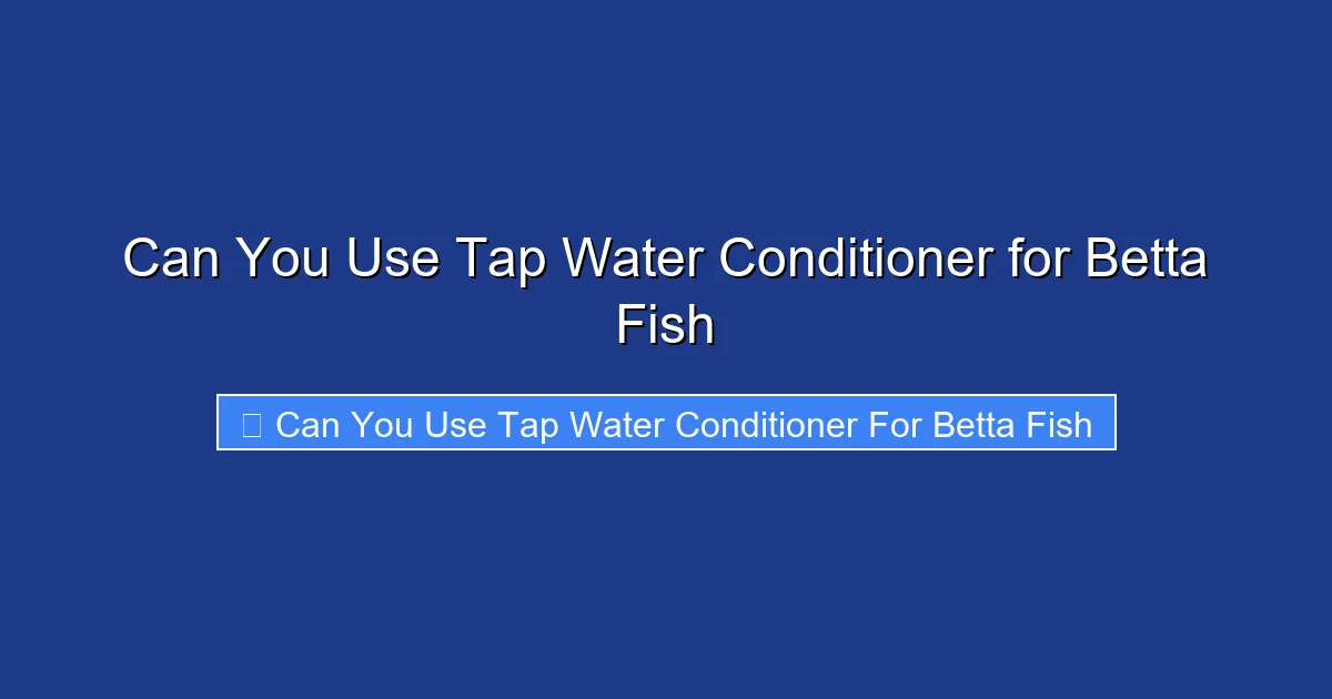 Can You Use Tap Water Conditioner for Betta Fish