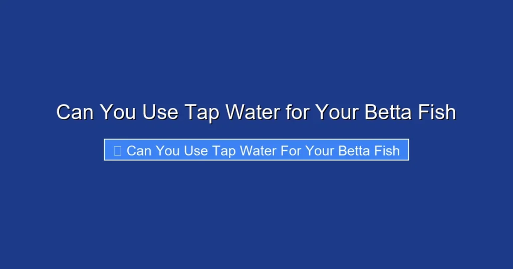 Can You Use Tap Water for Your Betta Fish