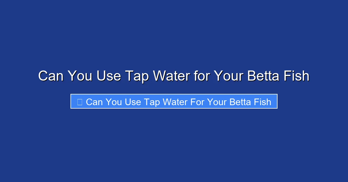 Can You Use Tap Water for Your Betta Fish
