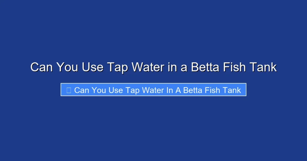 Can You Use Tap Water in a Betta Fish Tank