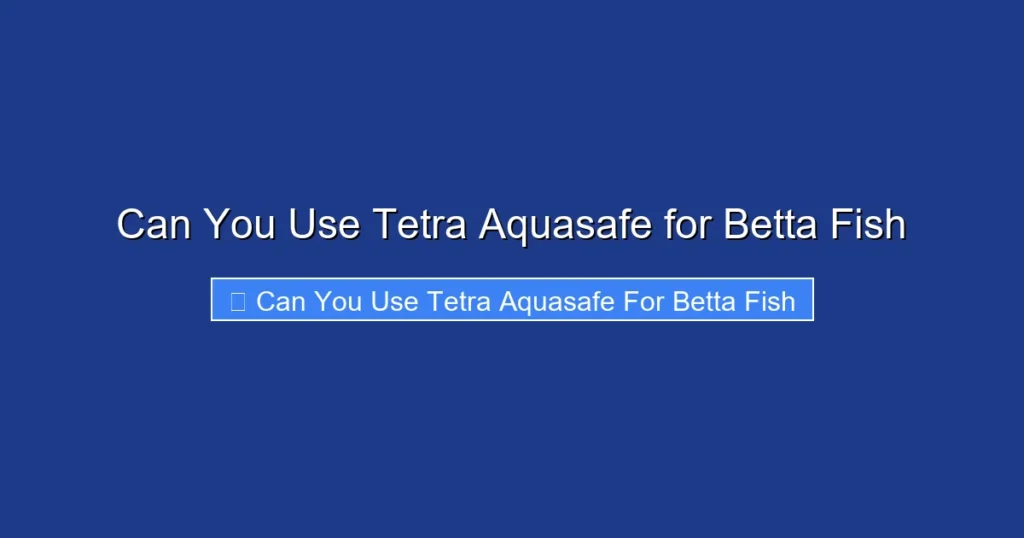 Can You Use Tetra Aquasafe for Betta Fish