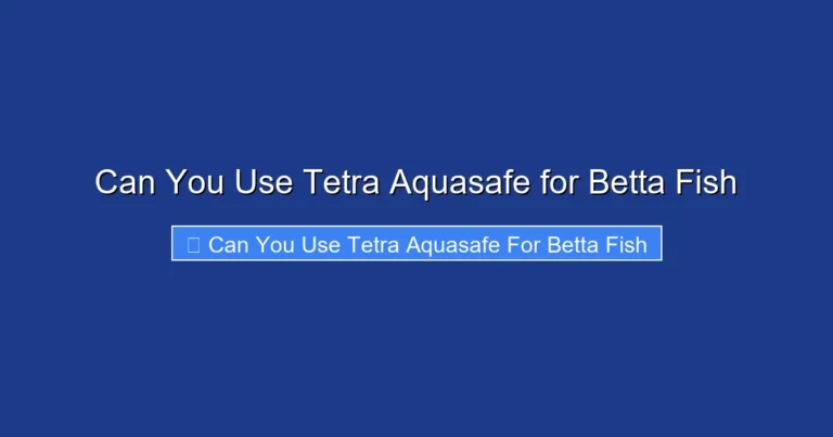 Can You Use Tetra Aquasafe for Betta Fish