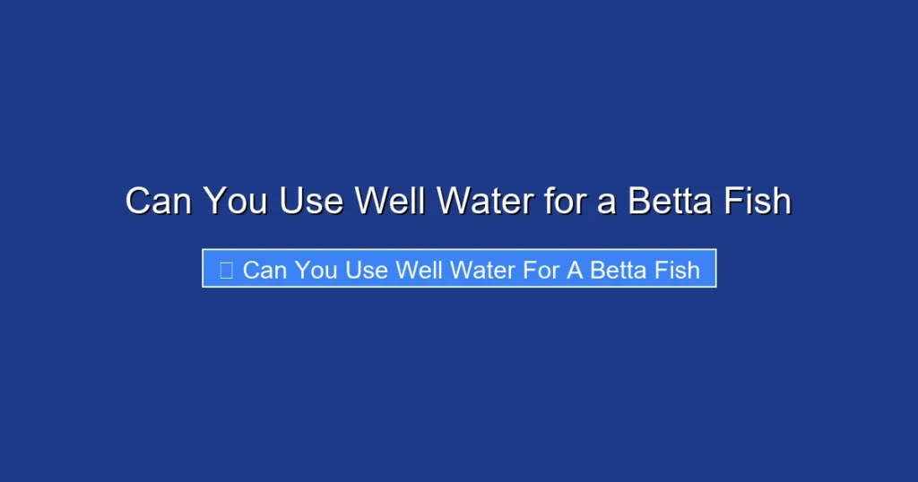 Can You Use Well Water for a Betta Fish