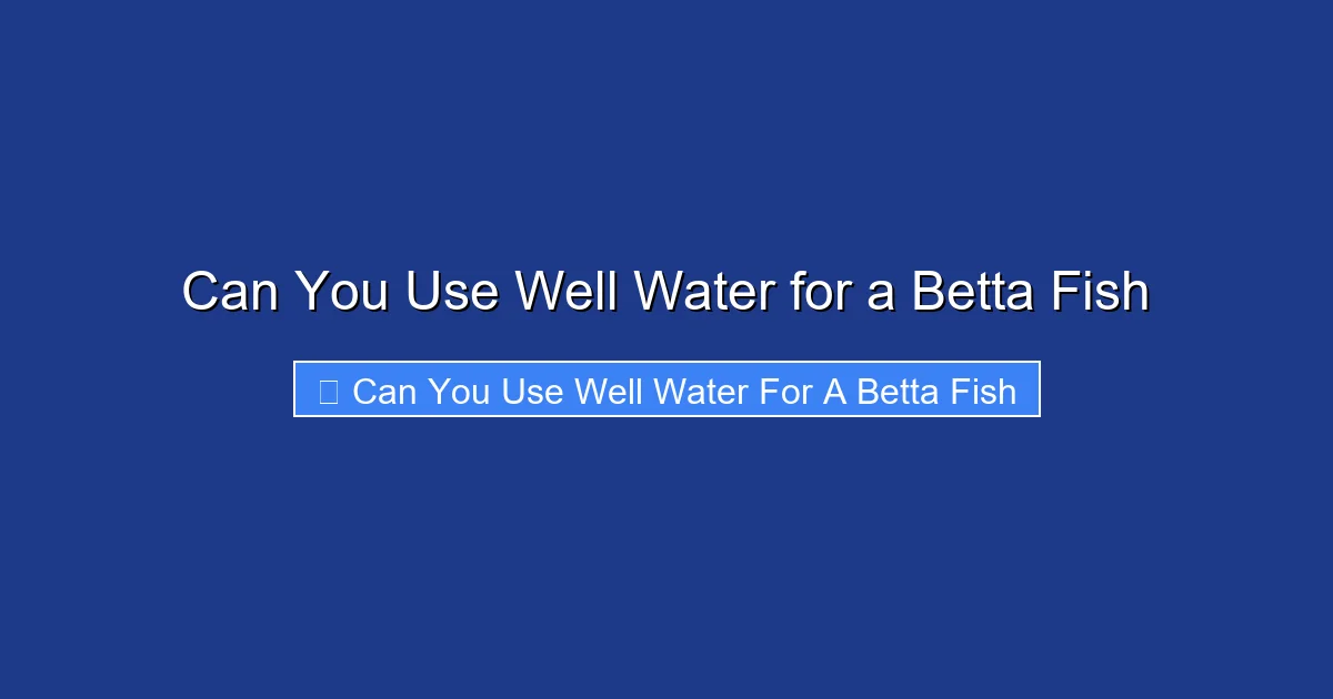 Can You Use Well Water for a Betta Fish