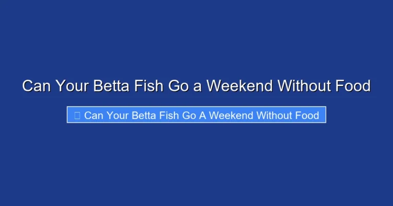 Can Your Betta Fish Go a Weekend Without Food