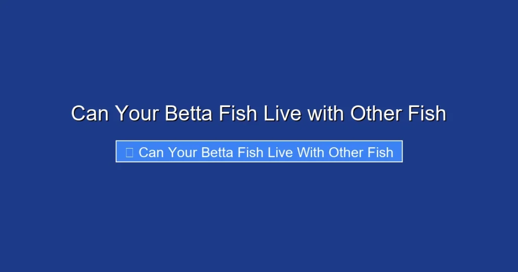 Can Your Betta Fish Live with Other Fish