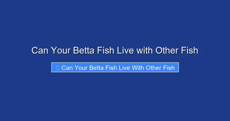 Can Your Betta Fish Live with Other Fish