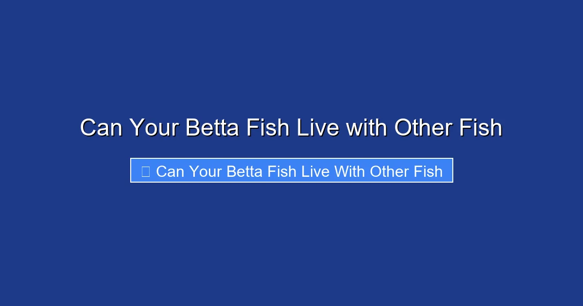 Can Your Betta Fish Live with Other Fish