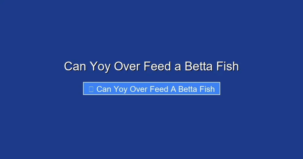Can Yoy Over Feed a Betta Fish