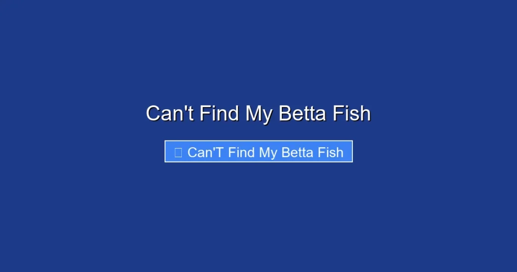 Can't Find My Betta Fish