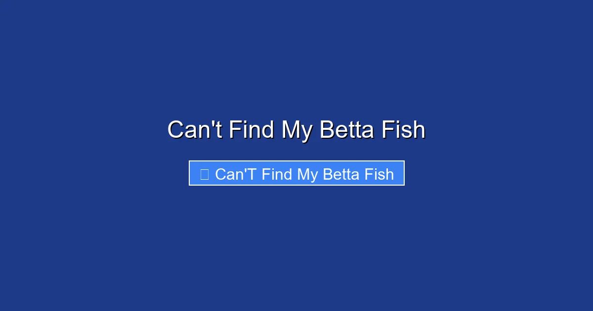 Can't Find My Betta Fish