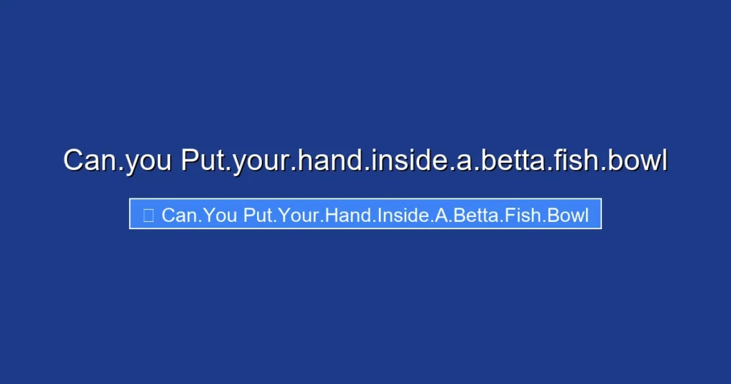 Can.you Put.your.hand.inside.a.betta.fish.bowl