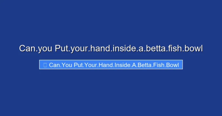 Can.you Put.your.hand.inside.a.betta.fish.bowl