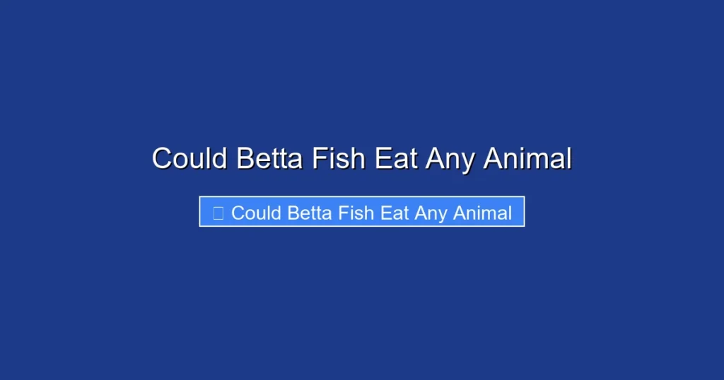 Could Betta Fish Eat Any Animal