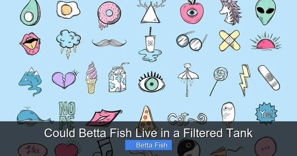 Could Betta Fish Live in a Filtered Tank