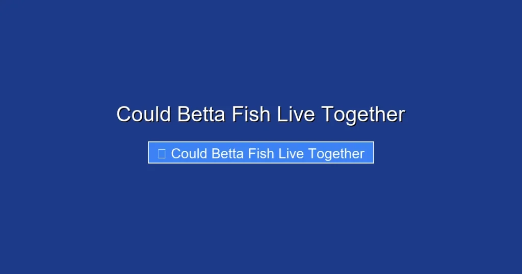 Could Betta Fish Live Together