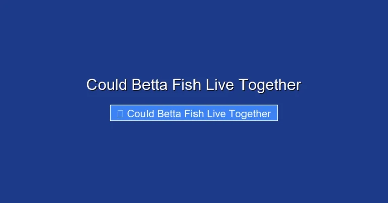 Could Betta Fish Live Together