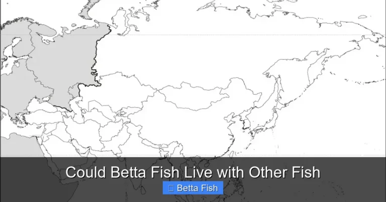 Could Betta Fish Live with Other Fish