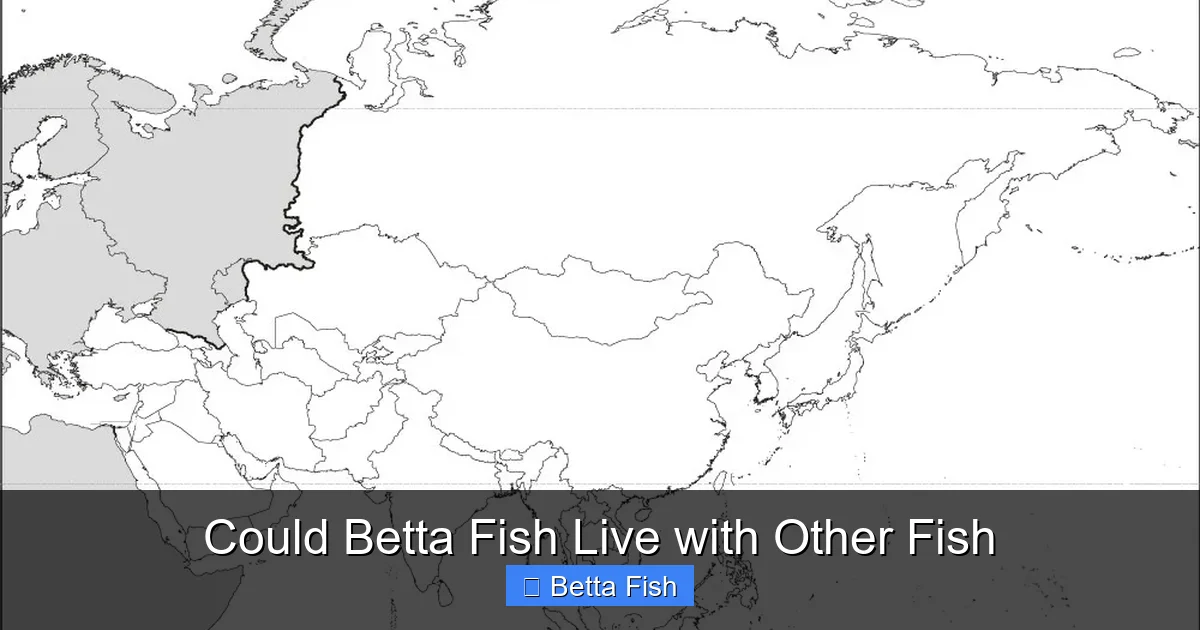 Could Betta Fish Live with Other Fish