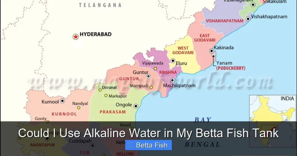 Could I Use Alkaline Water in My Betta Fish Tank